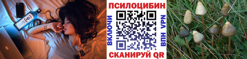 Псилоцибиновые грибы MAGIC MUSHROOMS Купить закладки Назрань